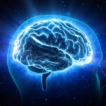 How does alcohol affect the brain?