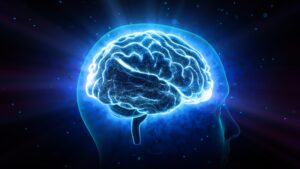 How does alcohol affect the brain?